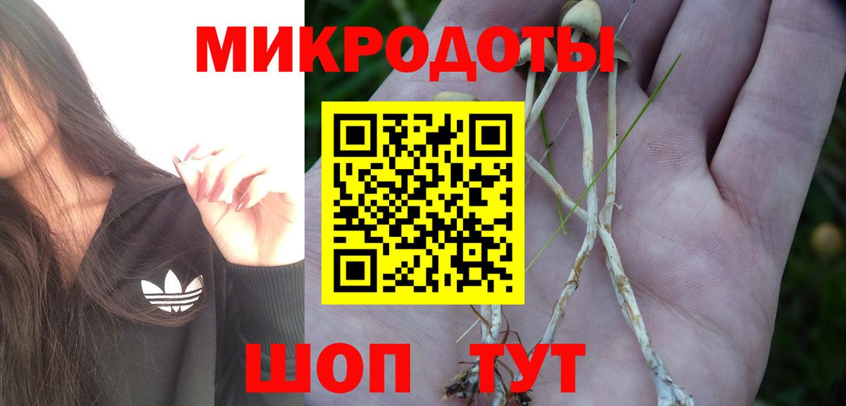 купить наркотик  Галлюциногенные грибы Psilocybe  Вход с VPN  Нурлат 