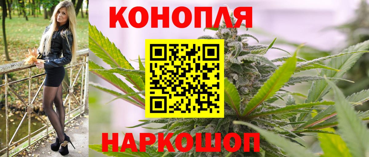 Нурлат  Бошки Шишки семена  Каннабис семена  Вход с VPN  Шишки марихуана сатива  Канабис White Widow 